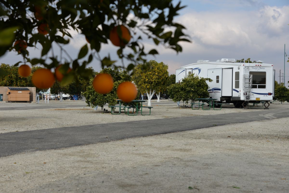 Photo Gallery of Orange Grove RV Park in Bakersfield ...