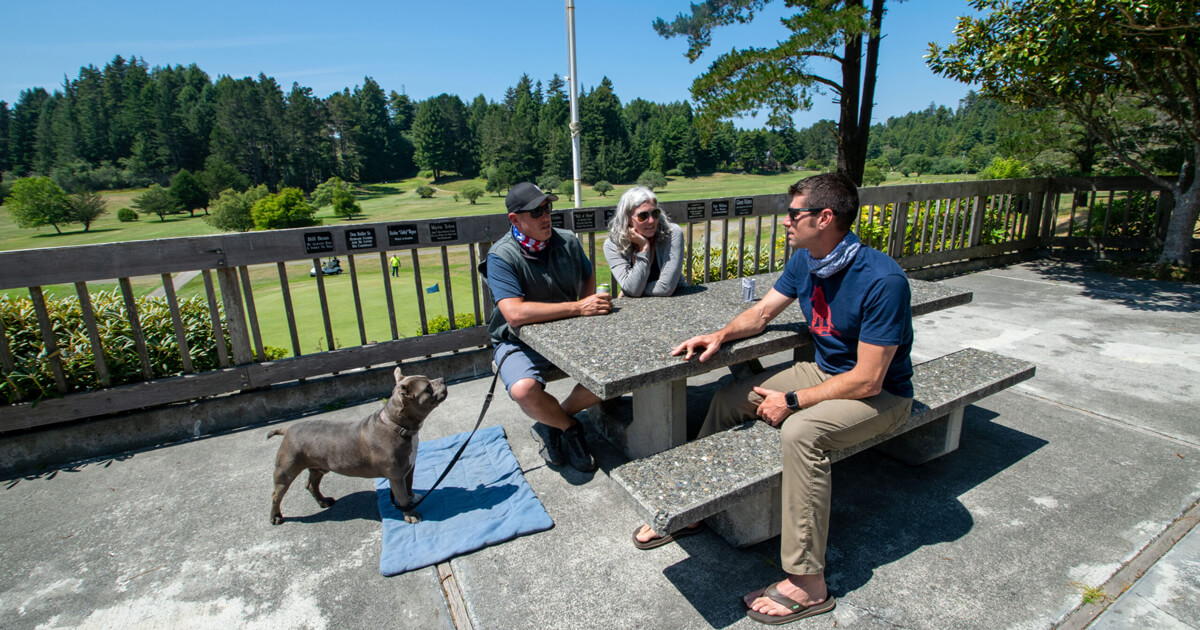 Dogs Love RV Travel