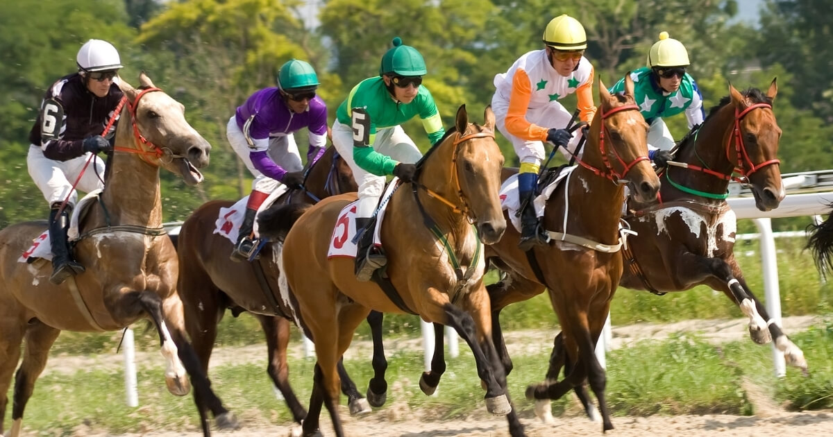 Thoroughbred Horse Racing at Santa Anita Park