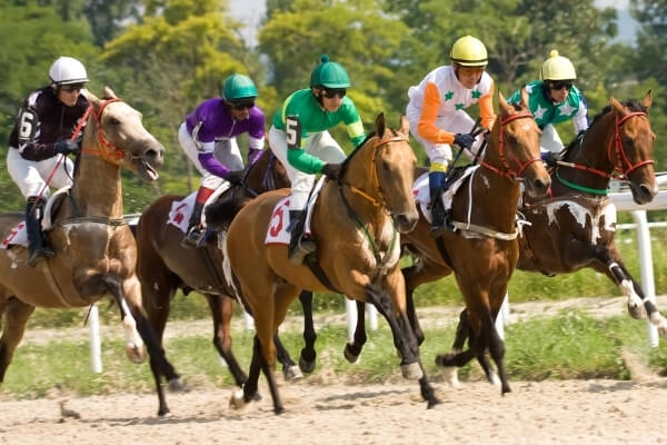 Thoroughbred Horse Racing | Santa Anita Park | Seabiscuit